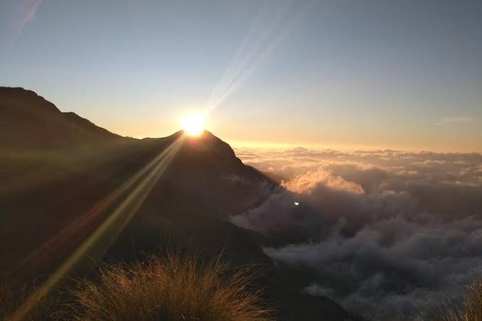 kolukkumalai munnar 